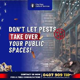 Public Spaces Pest Paradise | City Pest Control Services