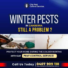 Winter Pest in Canberra | City Pest Control Services