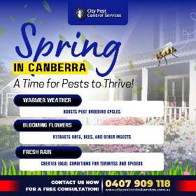 Spring in Canberra: A Time for Pests to Thrive! | City Pest Control Services