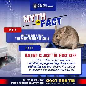 Understanding these myths and facts can make a big difference in how you manage rodents in your home | City Pest Control Services