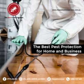 Bed Bug Treatment in Canberra