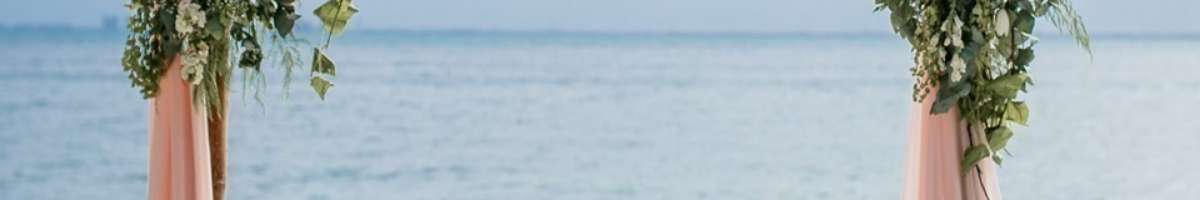 Lane Gems & Jewellery Banner