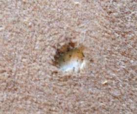 Oops Carpet Repair Brisbane