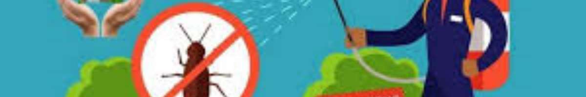 OOPS Pest Control Brisbane Banner