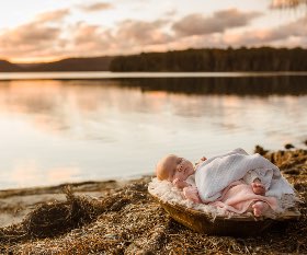 bluefinchphotography.com.au