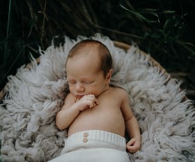 bluefinchphotography.com.au