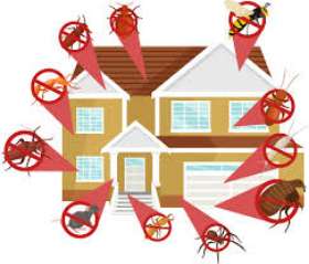 SES Pest Control Melbourne