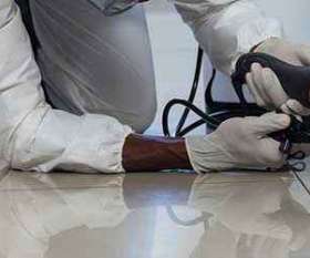 Impressive - Pest Control Brisbane