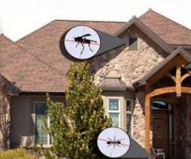 Impressive - Pest Control Brisbane