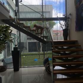 Slake Powder Coating