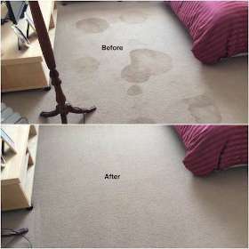 Perth Home Cleaners