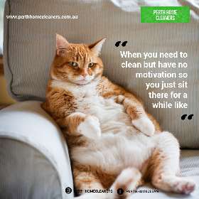 Perth Home Cleaners