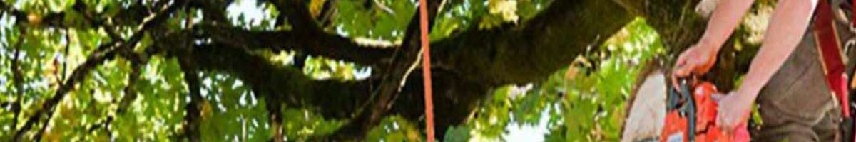 JC Tree Services Banner