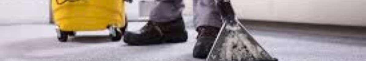 Carpet Cleaning Helensvale Banner