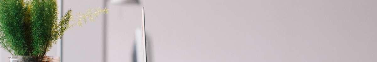 Lakeside Business Services Banner