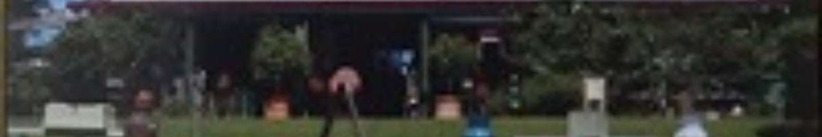 The Dayboro Shed Antiques Banner