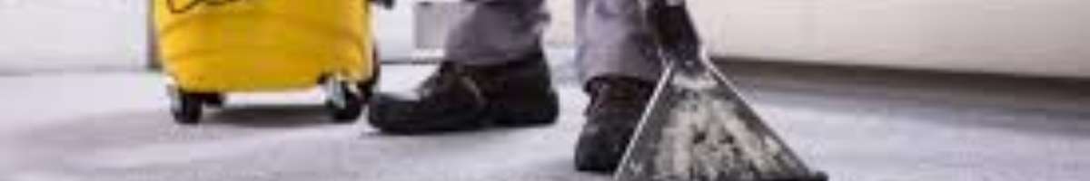 Carpet Cleaning Labrador Banner