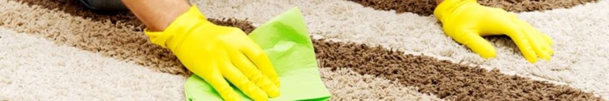 Carpet Dry Cleaning Adelaide Banner