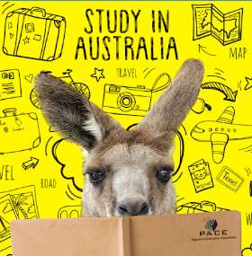 Education Consultant in Sydney