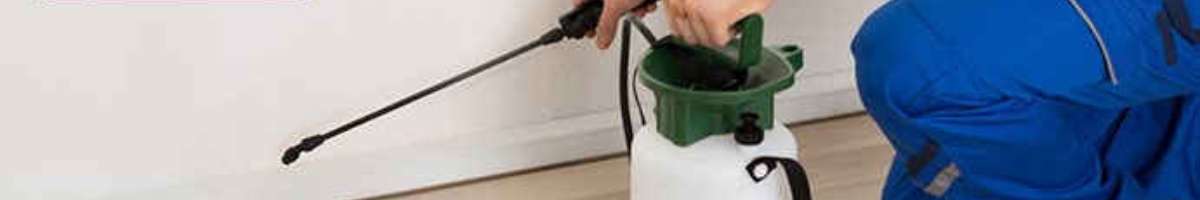 Impressive Pest Control Banner