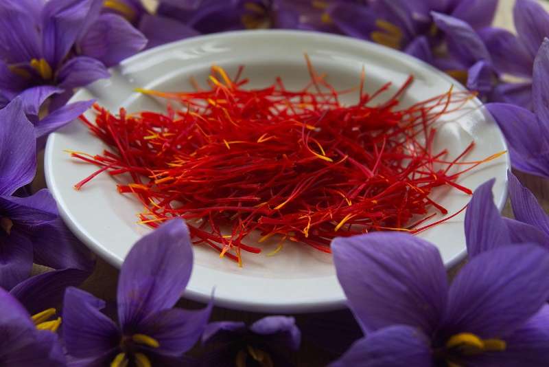 What is Saffron and why is it so precious?