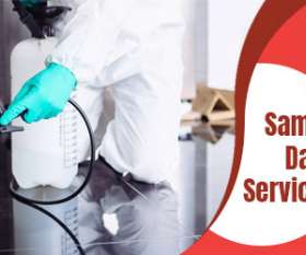 Best Pest Control Hobart