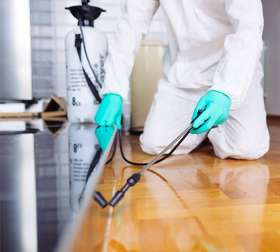 Local Pest Control Canberra