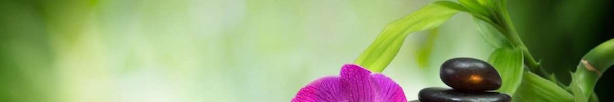 Thai Royal Orchid Massage Banner