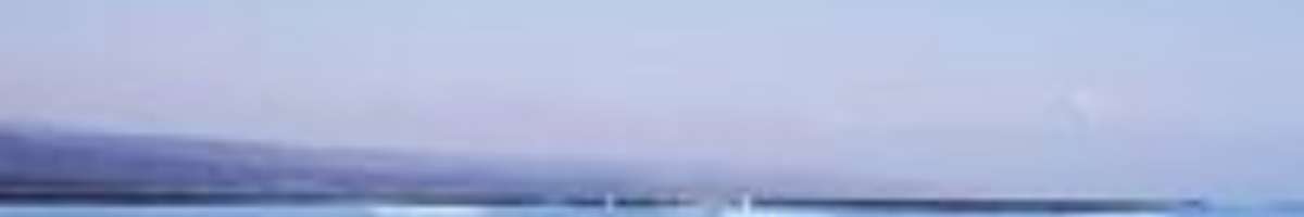 Pool Central Services Banner