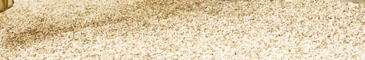 Hobart Carpet Repair Banner