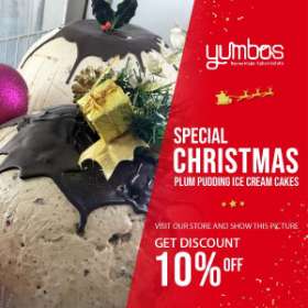 Special Christmas Plum Pudding Ice Cream Cakes