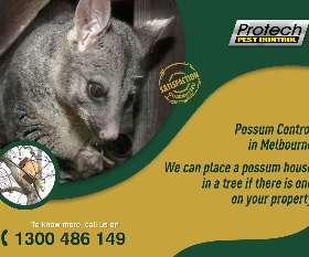 Protech Pest Control