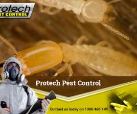 Protech Pest Control