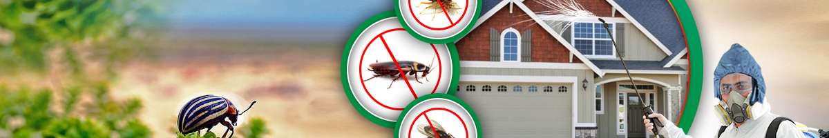 Impressive Pest Control Brisbane Banner