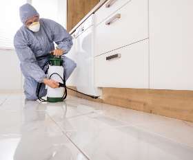 Impressive Pest Control Brisbane