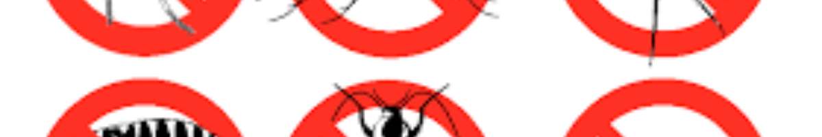 Pest Inspection Pakenham Banner