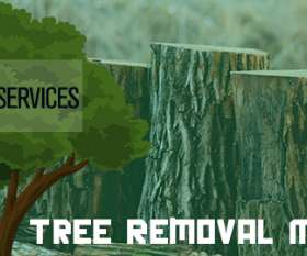 PC Tree Services
