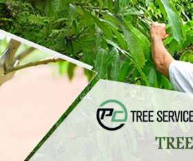 PC Tree Services