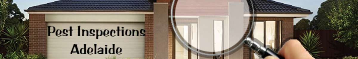 Deterant Pest Solutions Banner