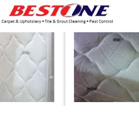 Best 1 Cleaning and Pest Control 