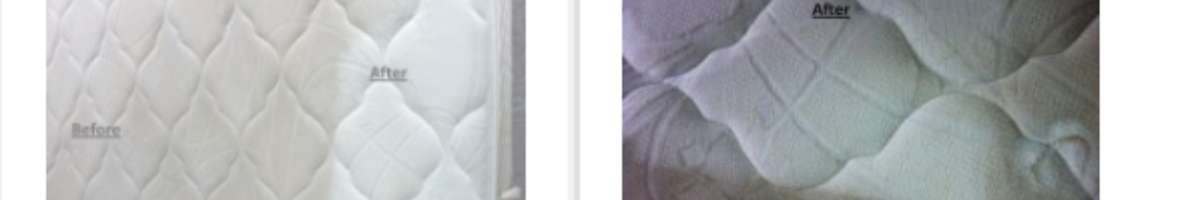 Best 1 Cleaning and Pest Control Banner