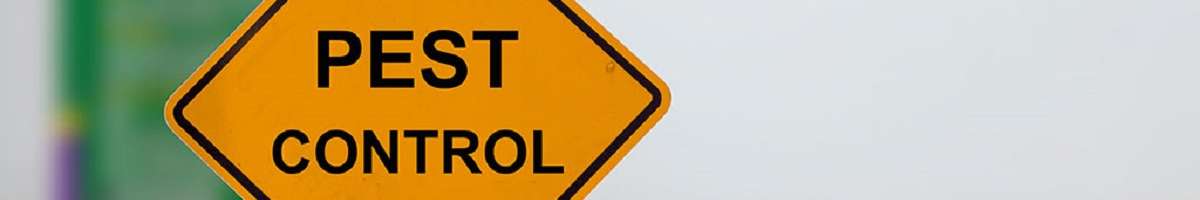 Pest Control Brisbane Banner