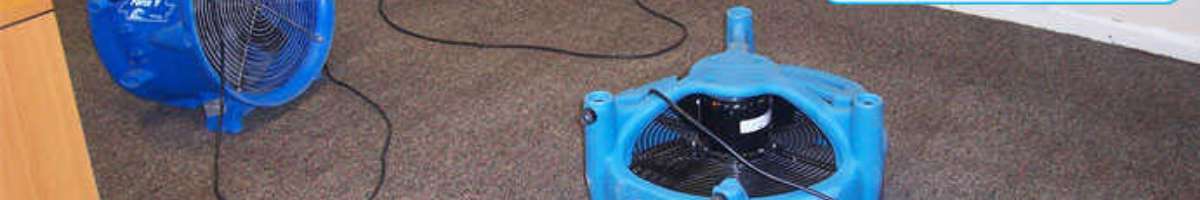 Water Removal Sydney Banner