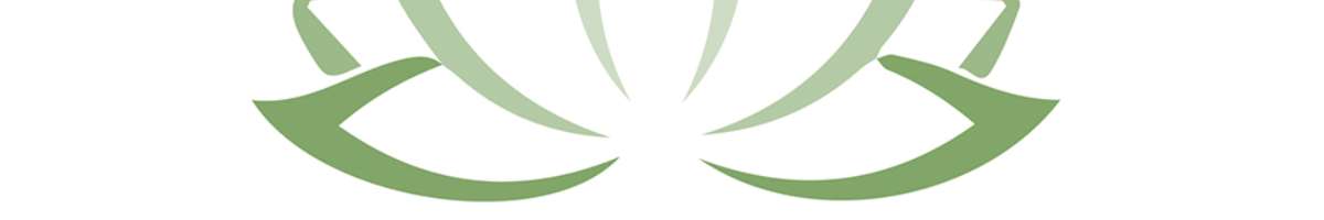 Emperor's Acupuncture Banner