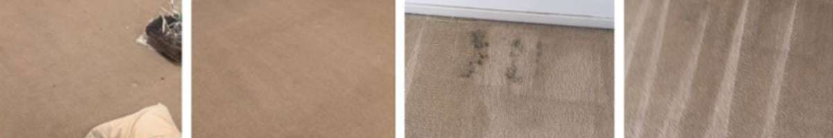 Best Carpet Cleaning Wollongong Banner