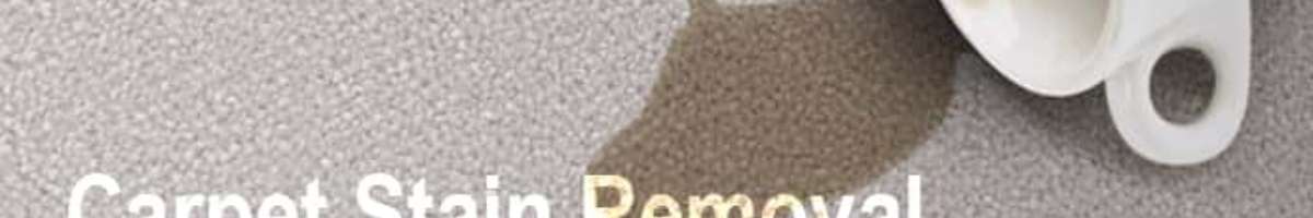 Carpet Cleaning Mosman Banner