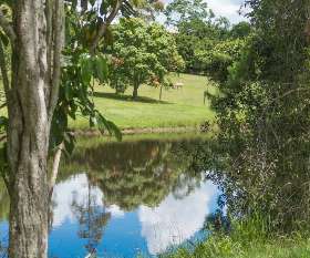 eumundicottages.com.au