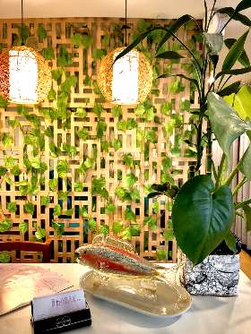 Happy Foot and Body Massage