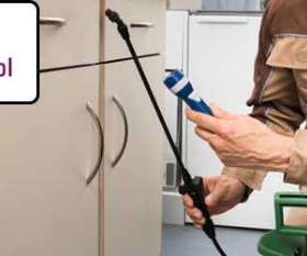 Pest Control Murray Bridge