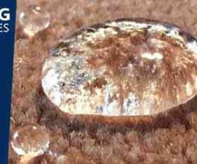 Best Carpet Cleaning Mosman